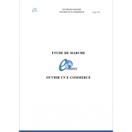 Etude de marché e-commerce (PDF)